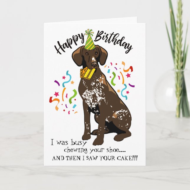 Happy Birthday from German Short Haired Pointer Card (Front)