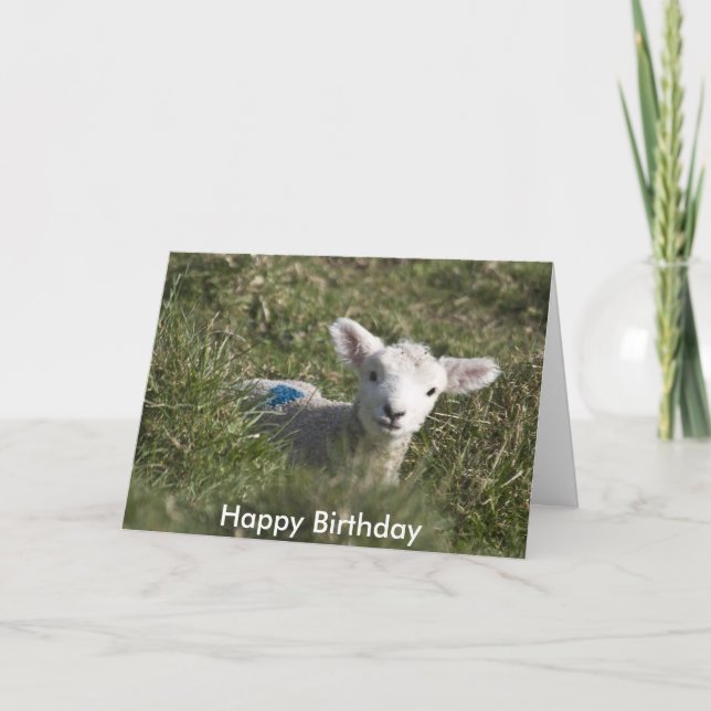 Happy birthday from me to ewe card (Front)