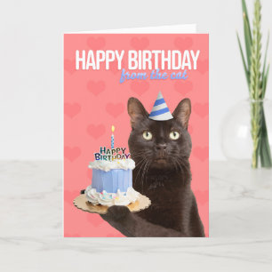 Happy Birthday From The Cat Kitty With Cake Humour Holiday Card