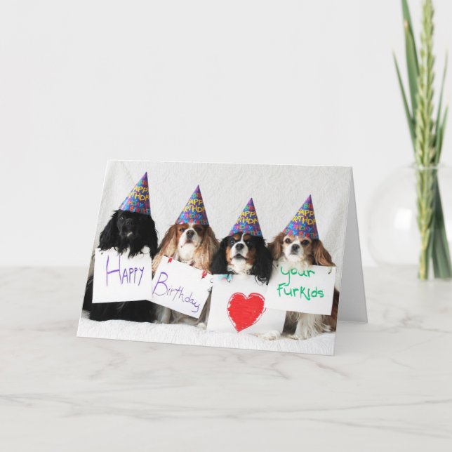 Happy Birthday from the Day Dog Cavaliers Card (Front)