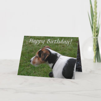 Happy Birthday from the Dog Card