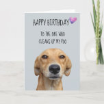 Happy Birthday From The Dog Funny Humour Card<br><div class="desc">This design was created though digital art. It may be personalized in the area provide or customizing by choosing the click to customize further option and changing the name, initials or words. You may also change the text colour and style or delete the text for an image only design. Contact...</div>