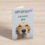 Happy Birthday From The Dog To Favourite Human Card<br><div class="desc">This design was created though digital art. It may be personalized in the area provide or customizing by choosing the click to customize further option and changing the name, initials or words. You may also change the text colour and style or delete the text for an image only design. Contact...</div>