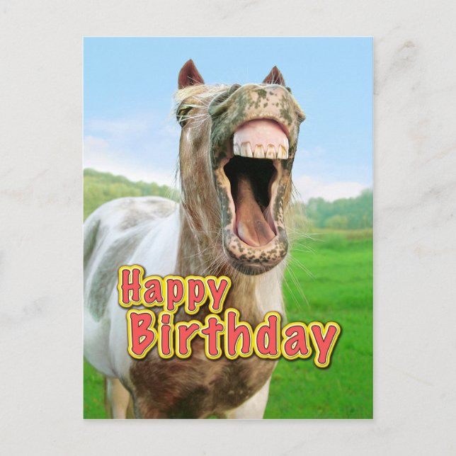 Happy Birthday from the happy horse Postcard (Front)