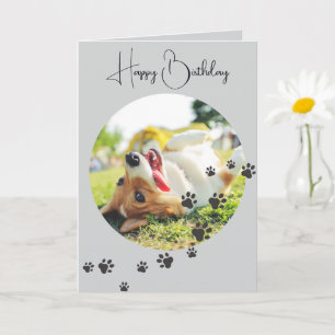 Happy Birthday from Your Furry Friend 2 Photos Card