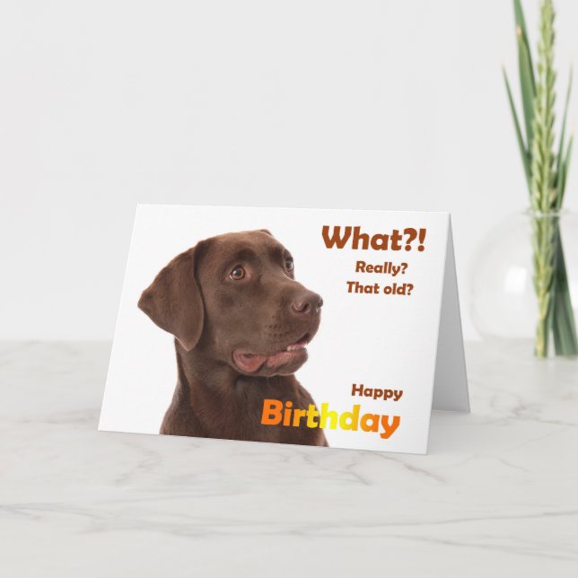 Happy Birthday fun card with Labrador dog (Front)