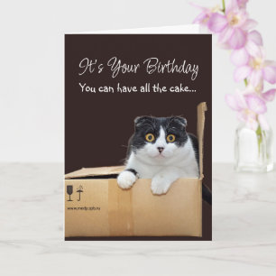 Happy Birthday Funny Cat Card
