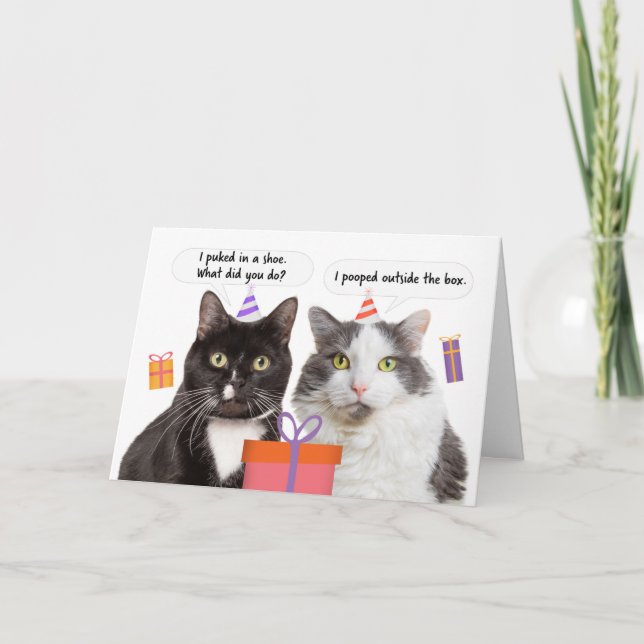 Happy Birthday Funny Cats Talking Humour Holiday Card (Front)
