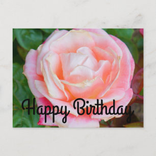 Happy Birthday Gemini Rose #1 Postcard