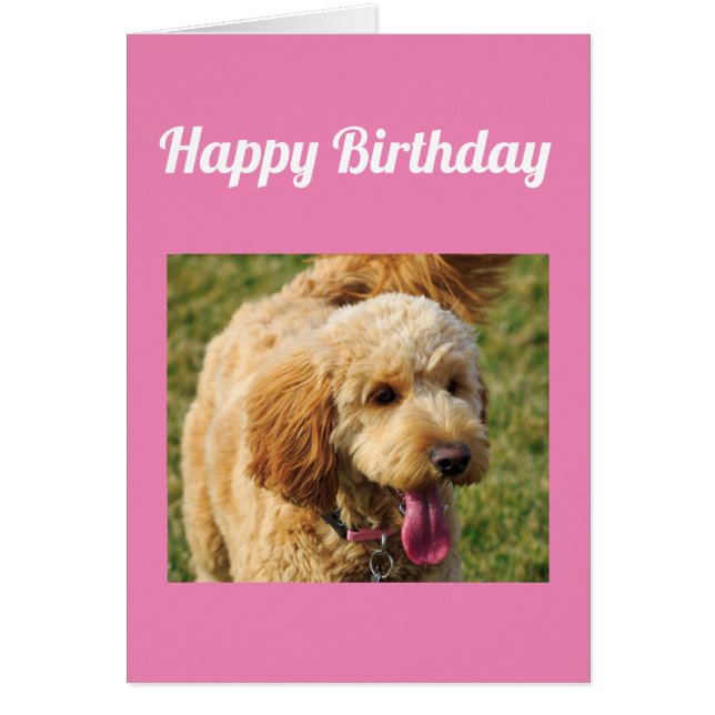 Happy Birthday Goldendoodle Dog Card (Front)