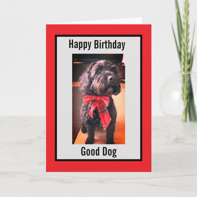 Happy Birthday good dog card (Front)