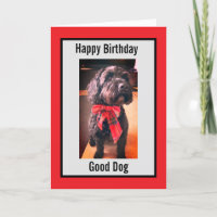 Happy Birthday good dog card