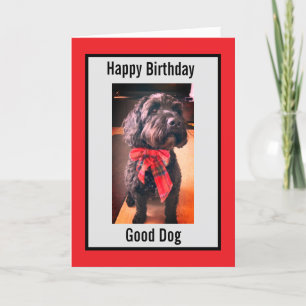 Happy Birthday good dog card