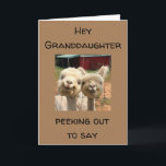 HAPPY *BIRTHDAY* **GRANDDAUGHTER** CARD<br><div class="desc">TO MY ***GRANDDAUGHTER*** HAPPY BIRTHDAY AND THANK YOU FOR STOPPING BY ONE OF MY EIGHT STORES!!!</div>