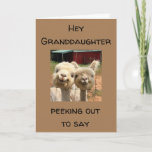HAPPY *BIRTHDAY* **GRANDDAUGHTER** CARD<br><div class="desc">TO MY ***GRANDDAUGHTER*** HAPPY BIRTHDAY AND THANK YOU FOR STOPPING BY ONE OF MY EIGHT STORES!!!</div>