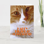 Happy Birthday Granddaughter - Sweet Cat Card<br><div class="desc">Wish your granddaughter a "Happy Birthday",  with this cute card from my "Kitty Koolness" Collection,  featuring an adorable orange and white kitty. The inside can be kept as is,  or personalized by you for that added touch. Photo by designer.</div>
