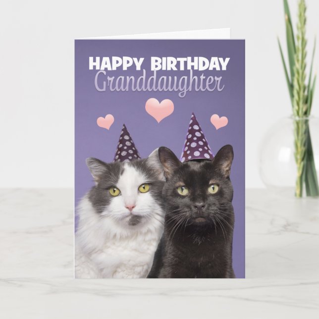 Happy Birthday Granddaughter Two Cute Cats in Hat Holiday Card (Front)