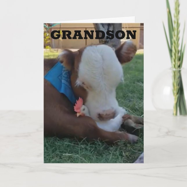 HAPPY BIRTHDAY ***GRANDSON*** CARD (Front)