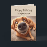 Happy Birthday Grandson Fun Silly Dog Card<br><div class="desc">Happy Birthday Special Grandson Fun Cute Dog</div>
