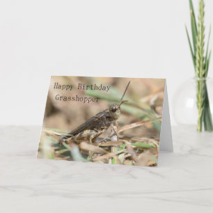 Happy Birthday Grasshopper Greeting Card