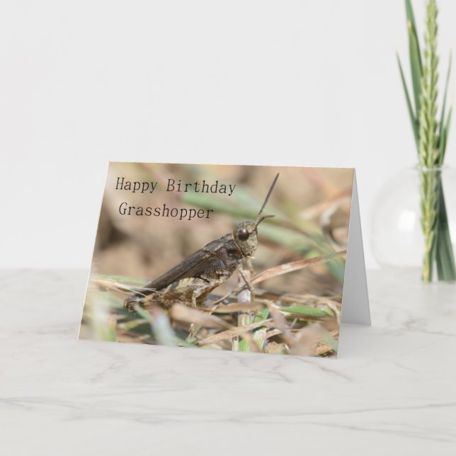 Happy Birthday Grasshopper Greeting Card (Front)