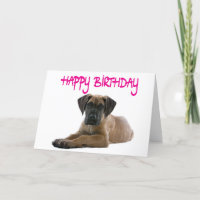 Happy Birthday Great Dane Puppy Dog Card - Verse