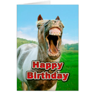 Funny Horse Birthday Cards, Photocards, Invitations & More