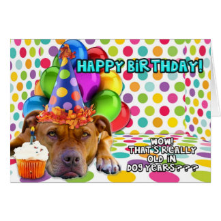 Happy Birthday Pitbull Cards, Photocards, Invitations &amp; More