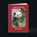 Happy Birthday Greeting Card Giant Panda Grandson<br><div class="desc">This colourful card is part of our "panda" collection, which also includes gift items with images of giant pandas - kindle covers, iPad cases, phone cases, small jewellery boxes, wrapping paper, and other gifts. This sample says "Grandson", but you can customize the card and the matching products, to make them...</div>
