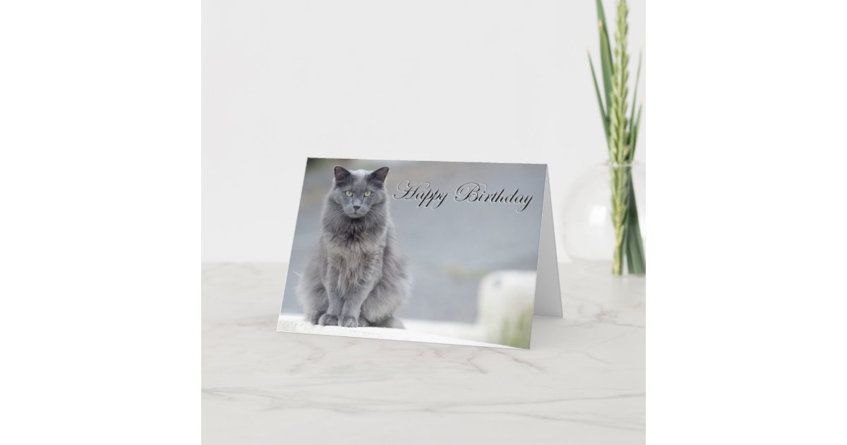 Happy Birthday Grey Cat Card | Zazzle.ca
