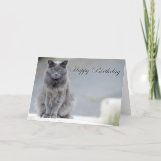 Happy Birthday Grey Cat Card