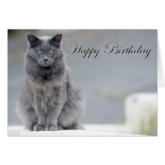 Happy Birthday Grey Cat Card | Zazzle.ca