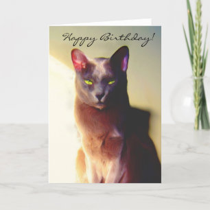 Happy Birthday Grey cat greeting card
