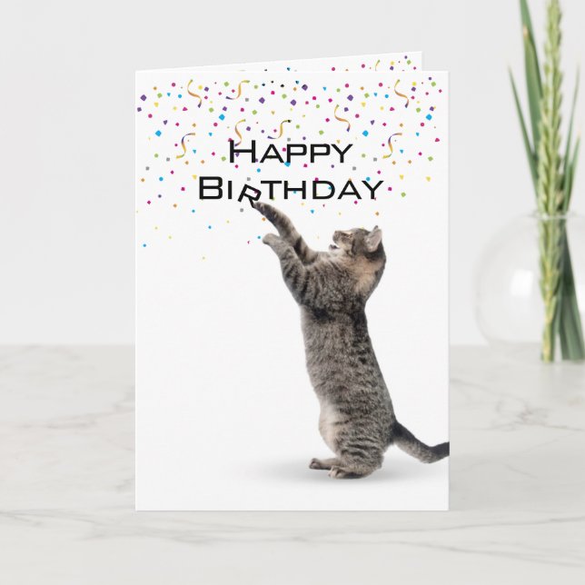Happy Birthday Grey Tabby Cat Card (Front)