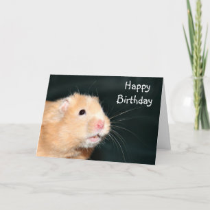 Happy Birthday hamster Card