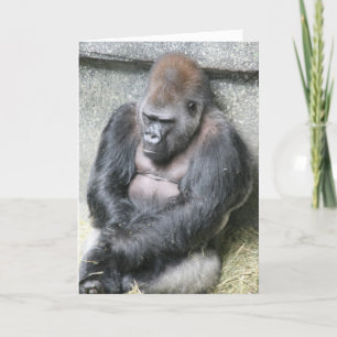 Happy Birthday Handsome Greeting Card
