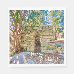 Happy Birthday History Buff Napkin