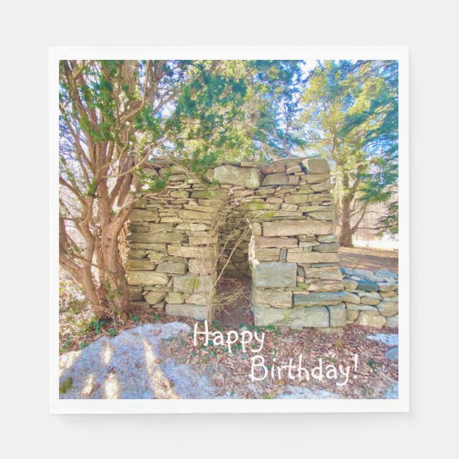Happy Birthday History Buff Napkin (Front)