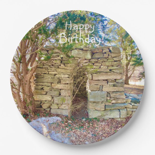 Happy Birthday History Buff Paper Plate (Front)