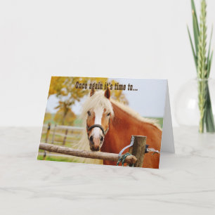 Happy Birthday Horse Card