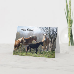 Happy Birthday Horses Card