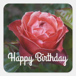 Happy Birthday Hot Cocoa Rose #2-1 Stickers
