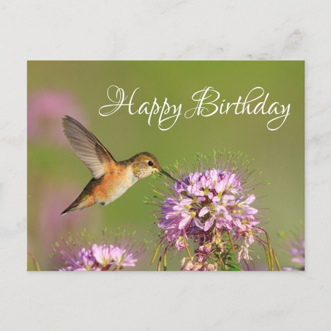 Happy Birthday Hummingbird Postcard (Front)