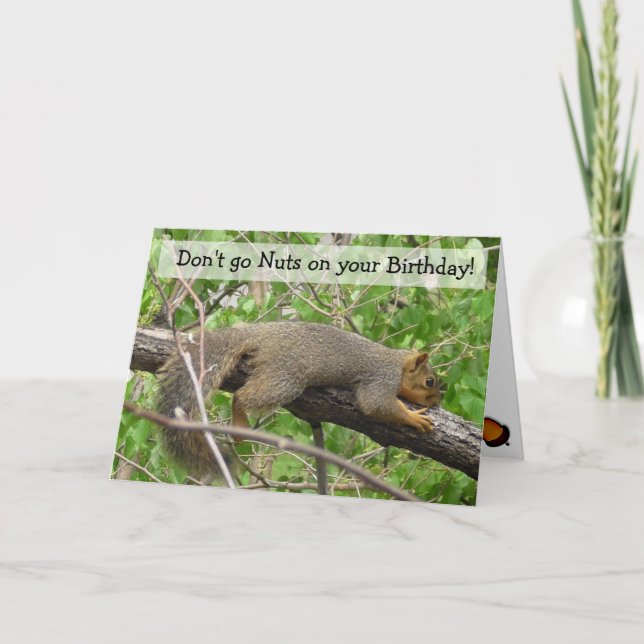 Happy Birthday Humourous Funny Squirrel Card (Front)