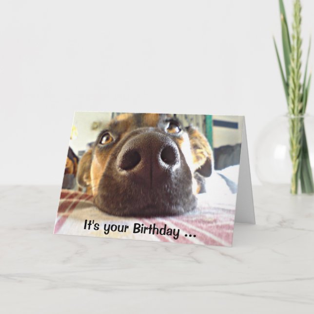 Happy Birthday I just NOSE it Cute Dog Card (Front)