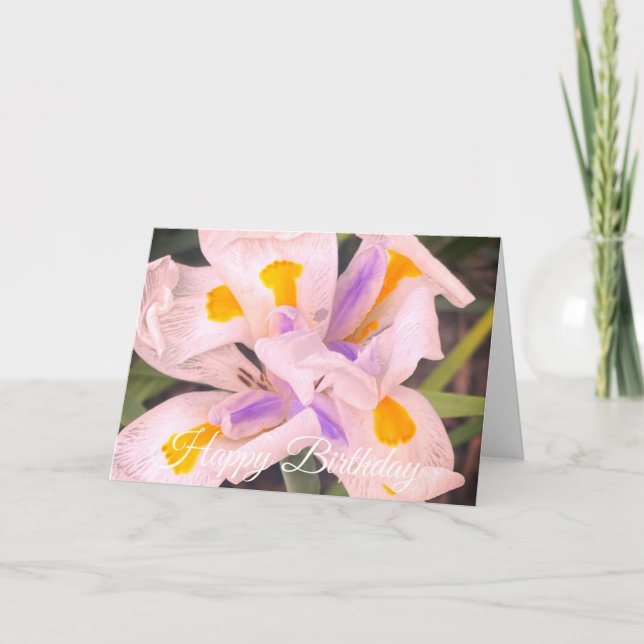 Happy Birthday Iris Flower Card (Front)