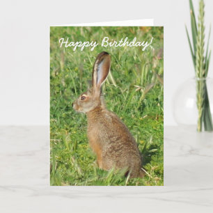 Happy Birthday Jack Rabbit Greeting Card
