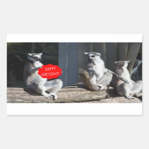 Happy Birthday Katta Sticker