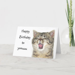 Happy Birthday kitten Card