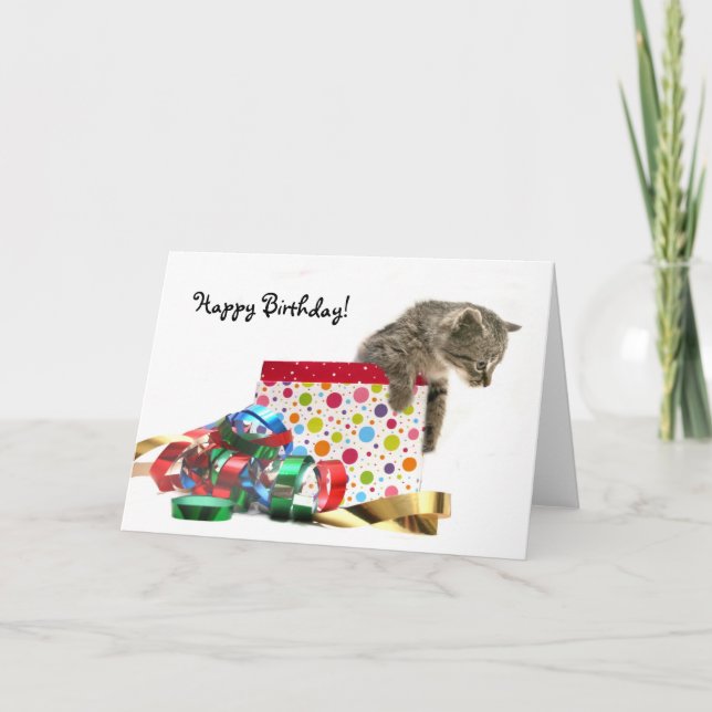 Happy Birthday kitten Card (Front)